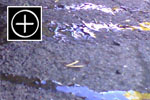 Avaa iso kuva thb_Jaahdytysneste_240908_Tatsi.jpg